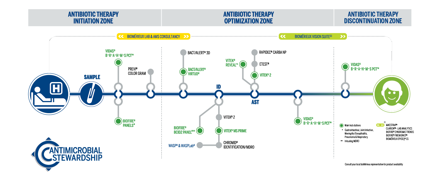 Infographic breaking bioMérieux diagnostic products into categories based on what stage of the Antimicribial Stewardship pathway they address